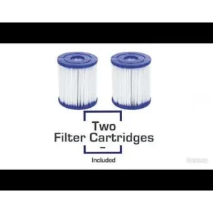 Flowclear Type I Filter Cartridge, 2-Pack